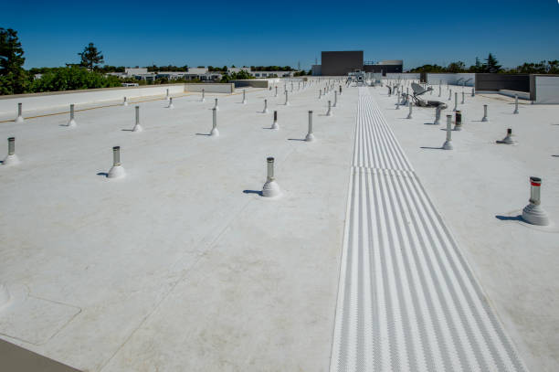 Best Metal Roofing Installation  in Kaloko, HI